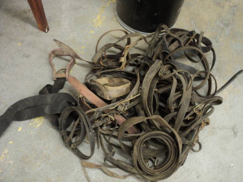 lot 113 image: horse supplies...