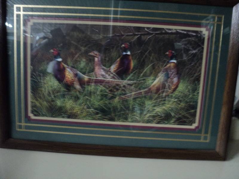 lot 150 image: Pheasant picture 23 x 16...