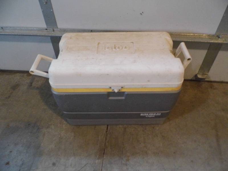 Igloo Cooler