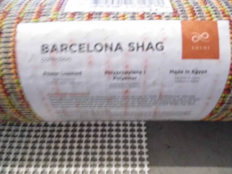 Multi Color Shag Rug