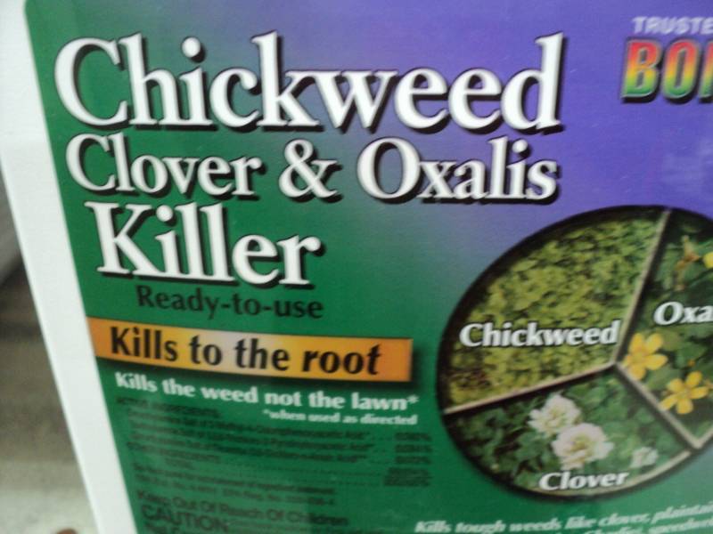 lot 387 image: 4 bottles of Chickweed clover and o...