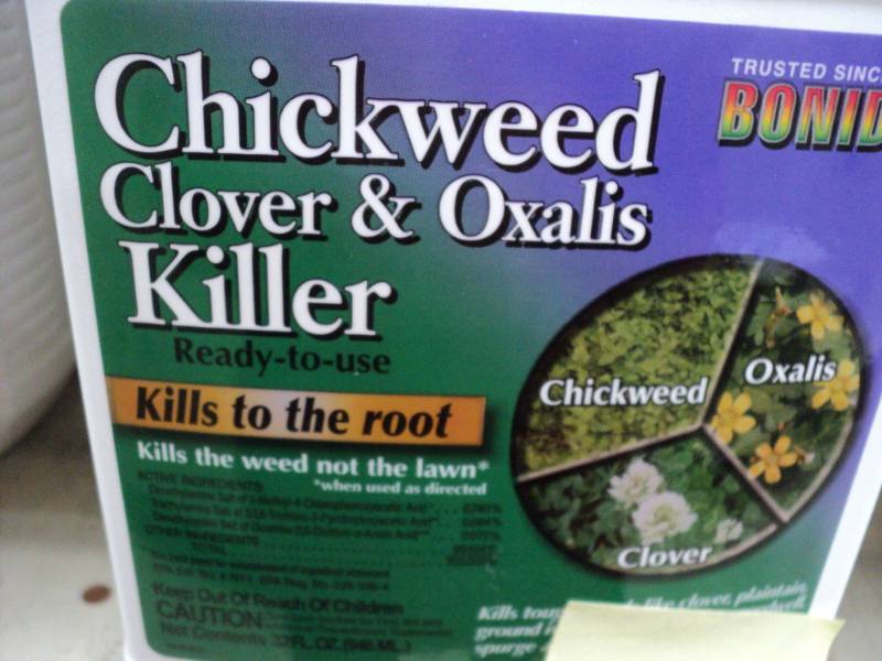 lot 388 image: 3 bottles of Chickweed Clover and O...