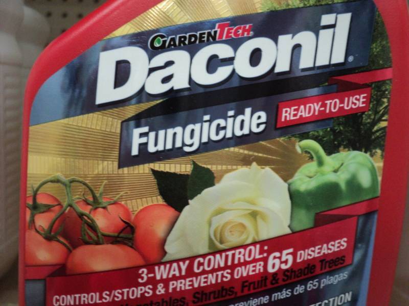 lot 391 image: 3 bottles of Daconil Fungicide  ...