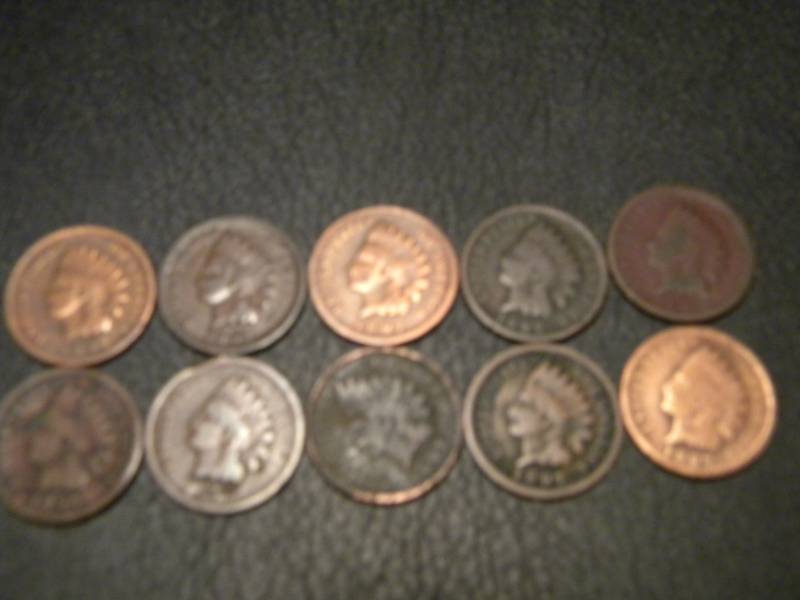 lot 72 image: 10 Indian Head Pennies