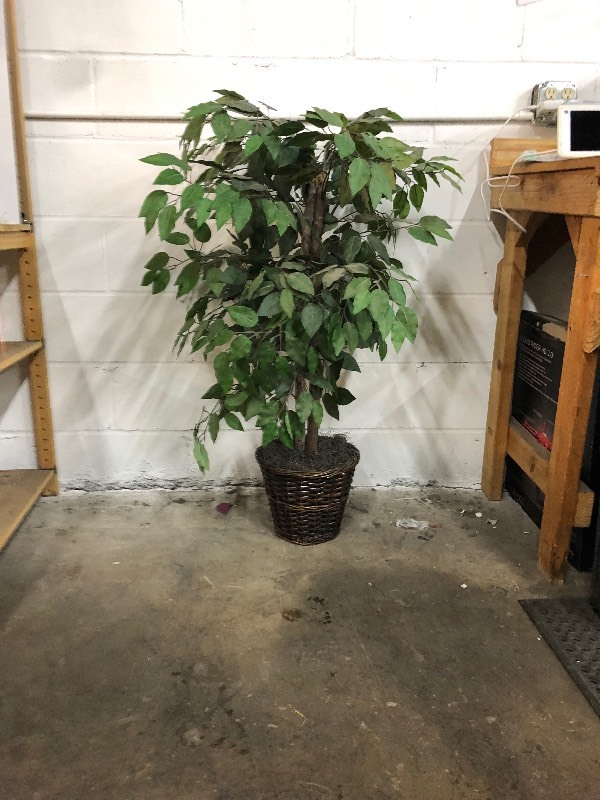 lot 2 image: Artificial Plants