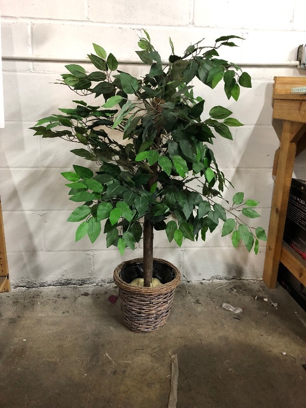 lot 4 image: Artificial Plants