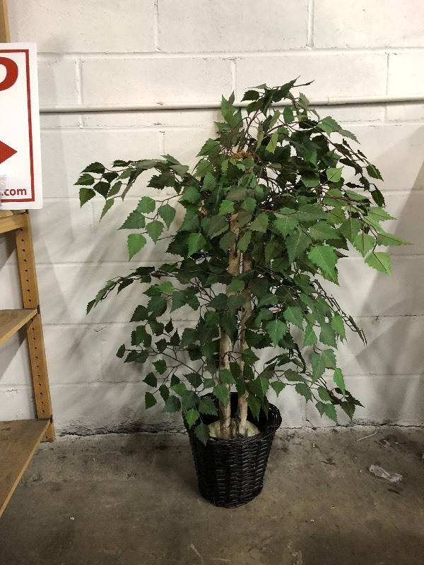 lot 5 image: Artificial Plants