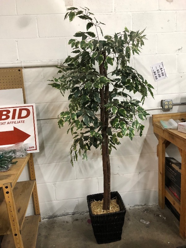 lot 6 image: Artificial Plants