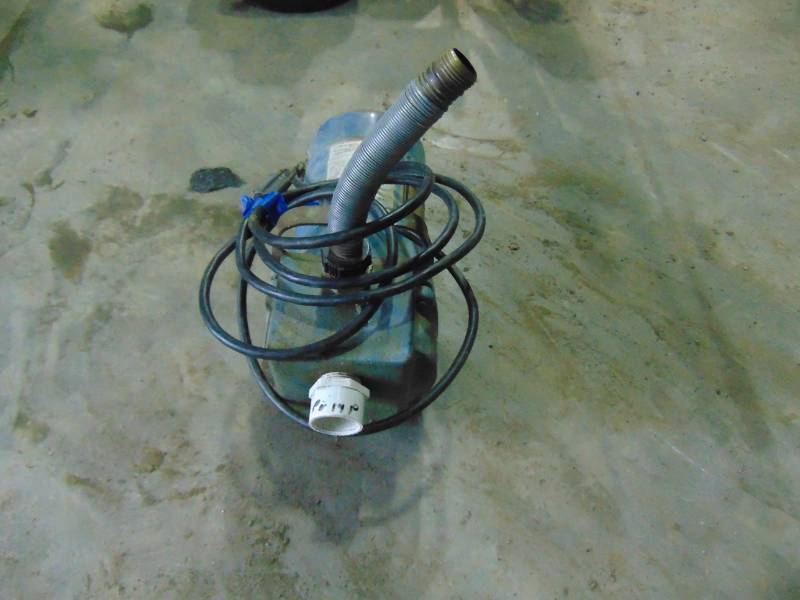 lot 136 image: STA-RITE 12HP Pump
