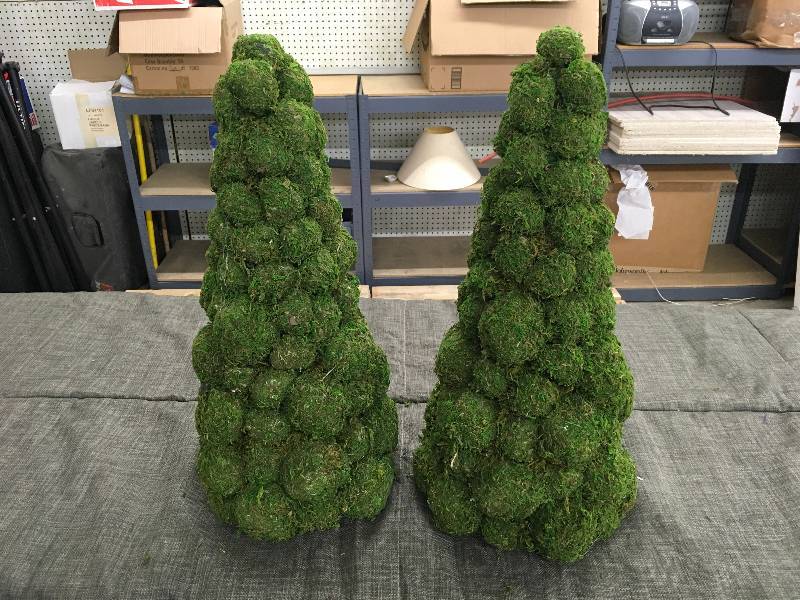 Two Mini Trees