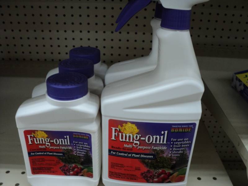 3 bottles of Fung Onil Fungicide 1...