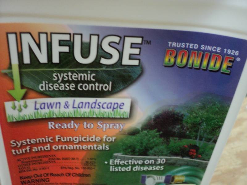 6 bottles of Infuse Systemic Diseas...