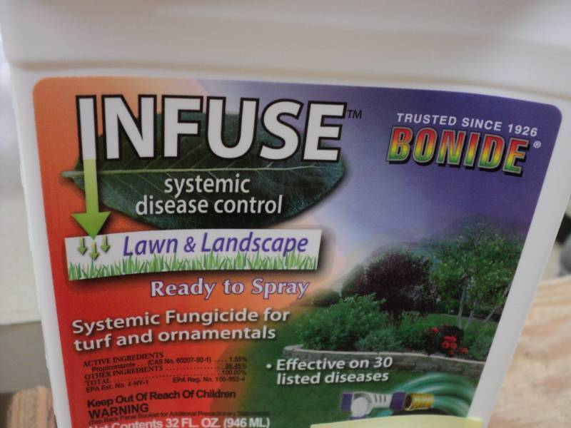 6 bottles of Infuse Systemic Diseas...