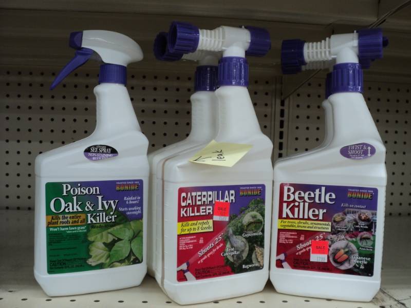 1 bottle Poison Oak and Ivy Killer...