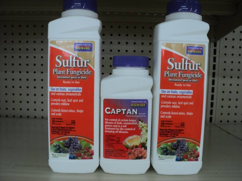 2- Sulfur  Plant Fungicide and 1- ...