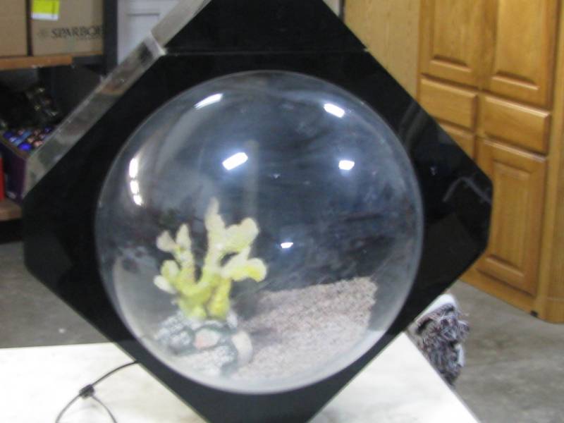 Fish Aquarium