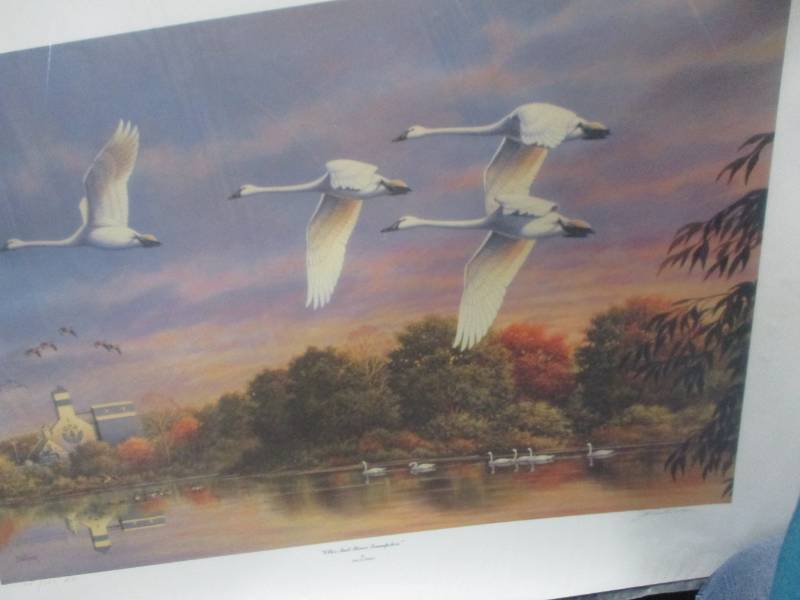 lot 63 image: OtterTail River Trumpeters by John S. Wilson Signed and Numbered 28100