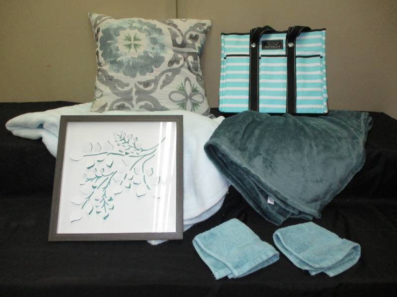 lot 171 image: Blanket, throw, pillow and picture
