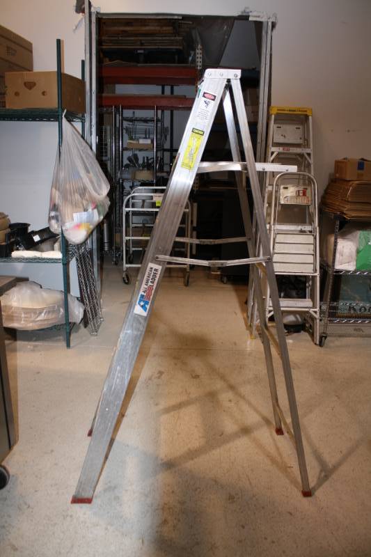 lot 251 image: Ladder