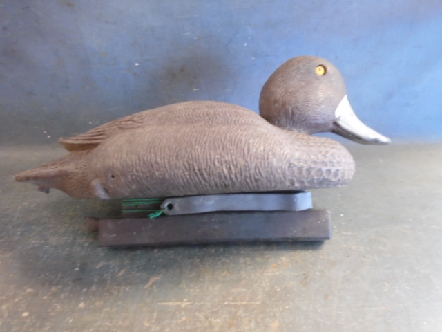 Duck Decoy