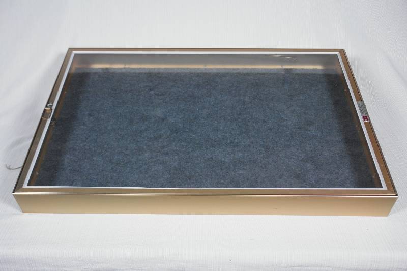 Locking Carrying Display Case