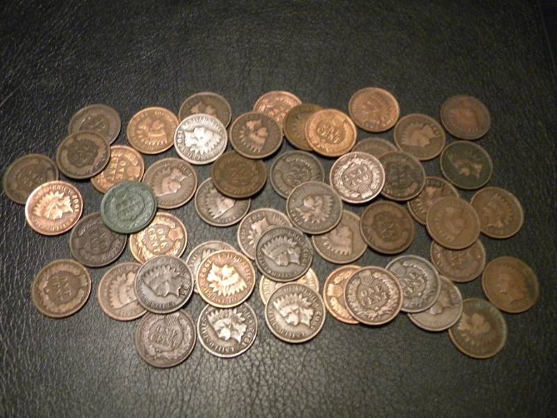 50 Indian Head Pennies