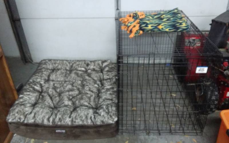 lot 4 image: Large Dog Kennel & Fuzzy Bed