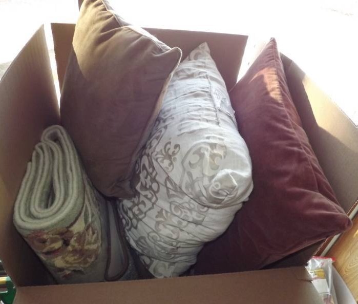 Rugs and Pillows