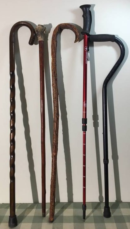 Canes and Walking Sticks