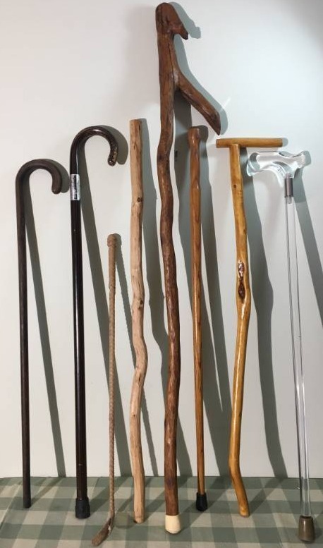 Canes and Walking Sticks