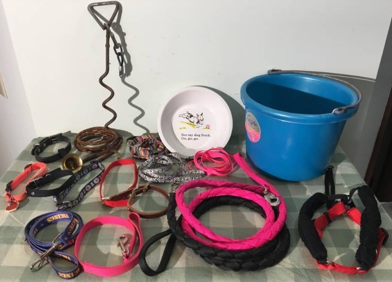 Dog Leashes and More