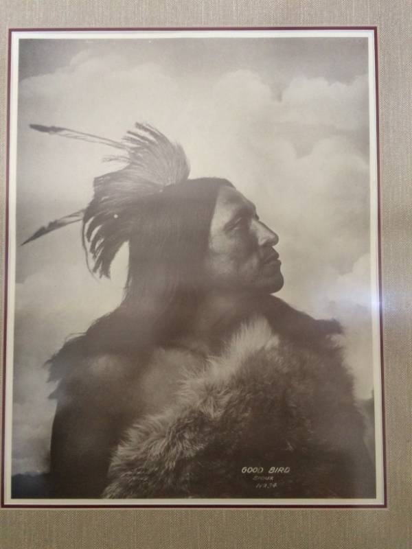 lot 4 image: Large Professionally Framed Photo From A Frank Rinehart #34 Plate - Title&nbspGood Bird Sioux - Size&nbsp23.5 x 19.5 Excellent Condition