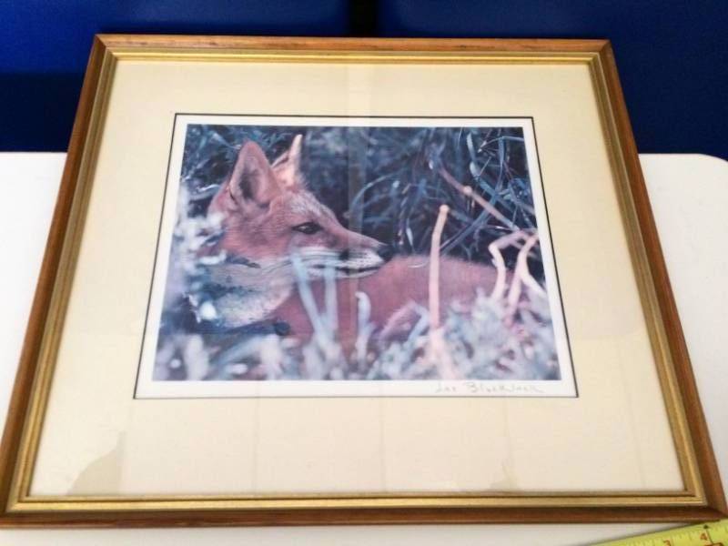 lot 16 image: Framed & Matted Pencil Signed Minnesota Wildlife Artist Les Blacklock Photographer Artwork Vintage The Fox - Excellent Condition