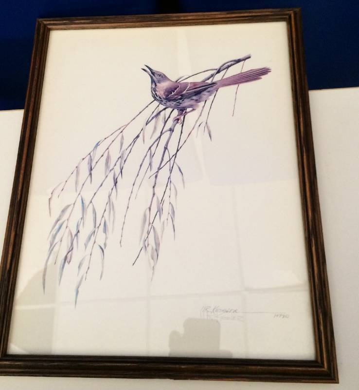 lot 18 image: Vintage 1978 Framed Wildlife Pencil Signed Print Bird On A Branch Artist&nbspKessler&nbspSize&nbsp15 x 12 Excellent Condition