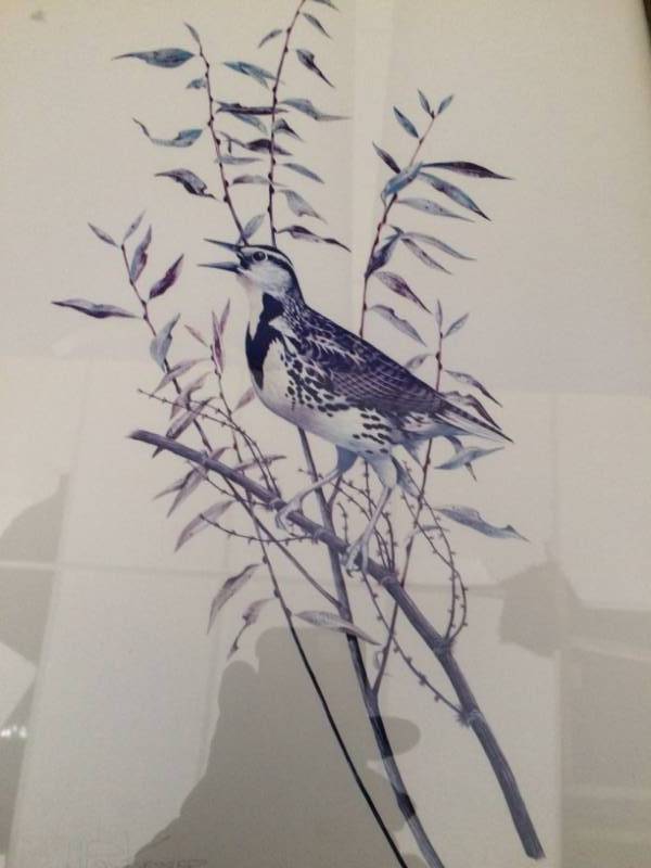 lot 19 image: Vintage 1978 Framed Wildlife Pen Signed Print Bird On A Branch Artist&nbspKessler&nbspSize&nbsp15 x 12 Excellent Condition