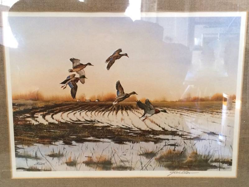 lot 23 image: Framed & Matted Wildlife Print Pencil Signed by Artist&nbspJ. Killen&nbspSize&nbsp18.5 x 22.5 Excellent Condition
