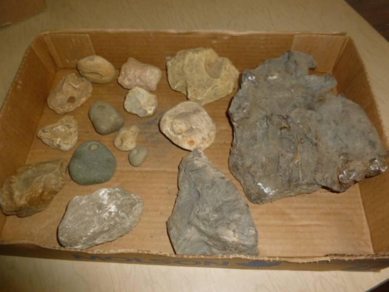 lot 179 image: Fossil Rocks