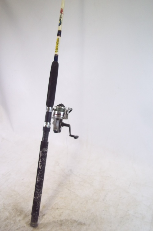 Big Game rod and reel