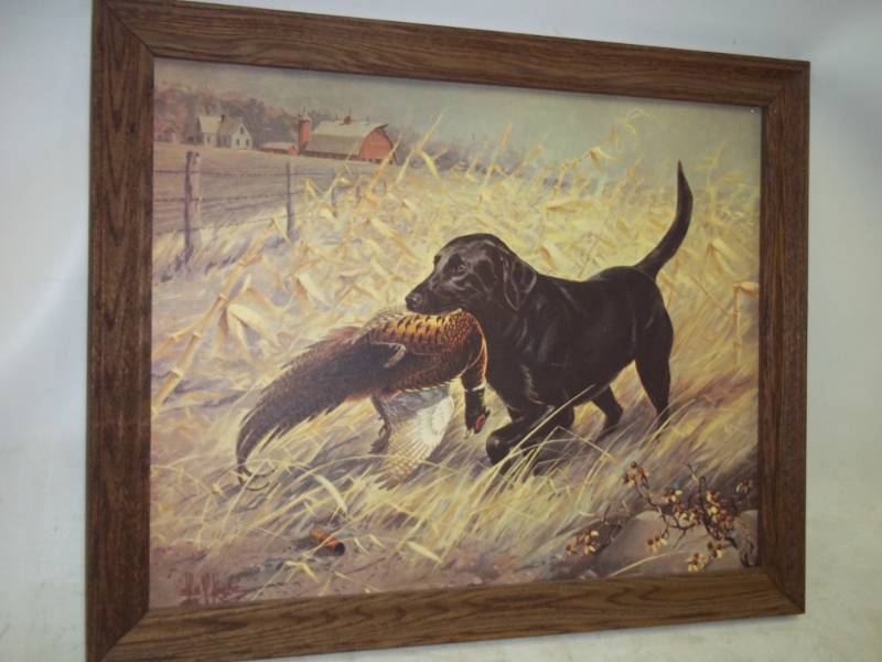 Les Kouba Framed Print
