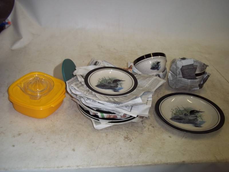 Loon Plates and Bowels