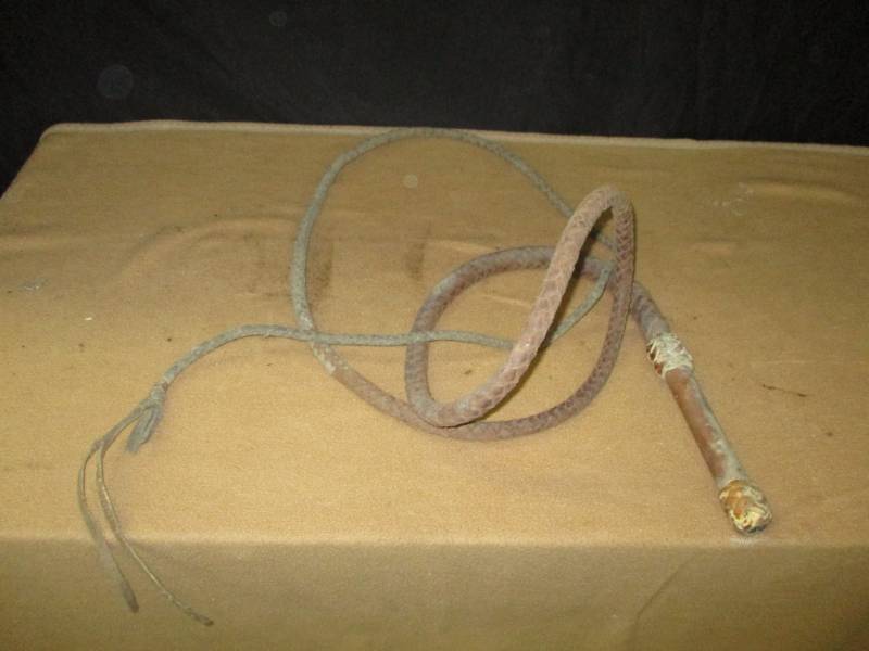 Leather Whip