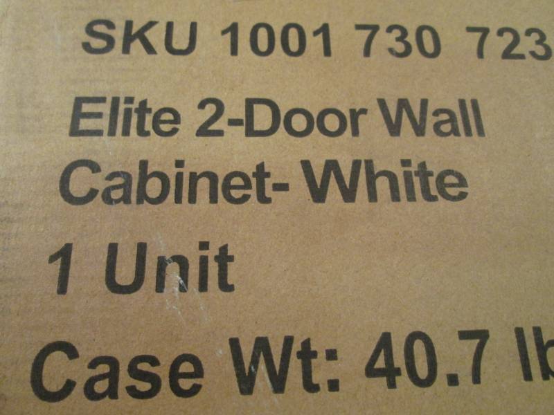 Elite 2-Door Wall Mount Cabinet in ...