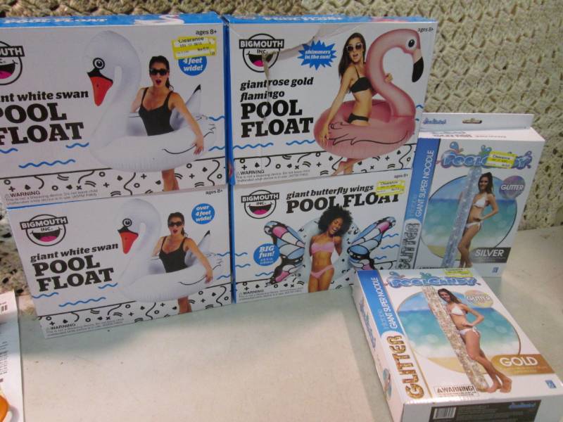 Lot of 6 Misc Adult Size Giant Pool...