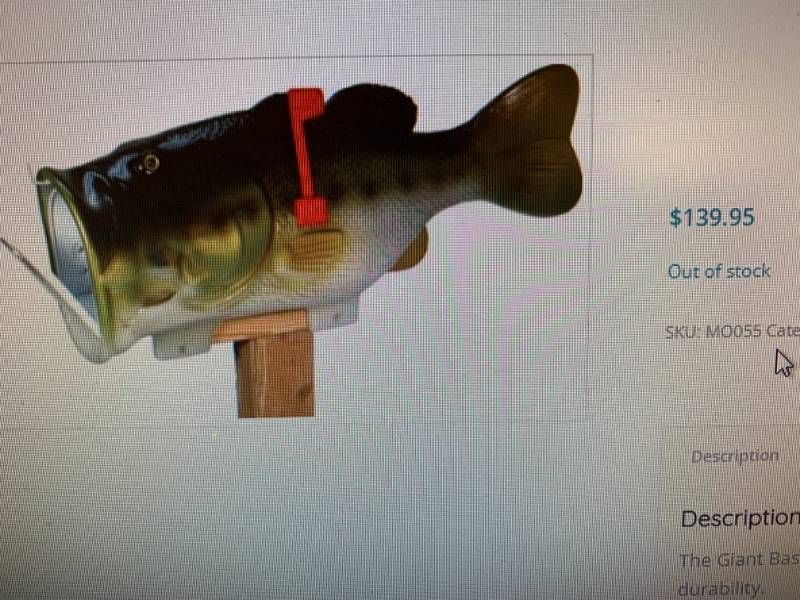lot 77 image: Giant Large Mouth Bass Mailbox (new in box)