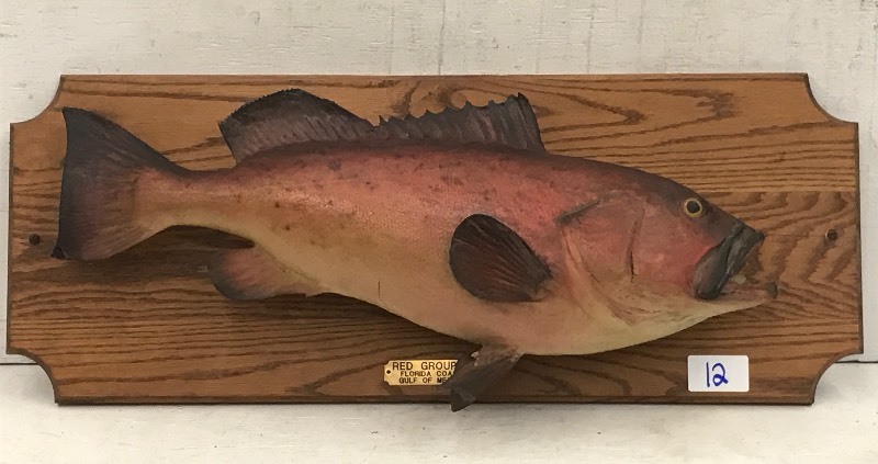 Red Grouper Fish Mount