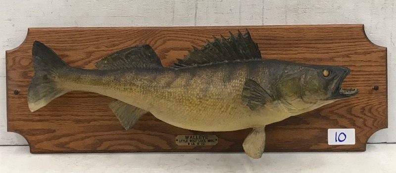 Walleye Fish Mount