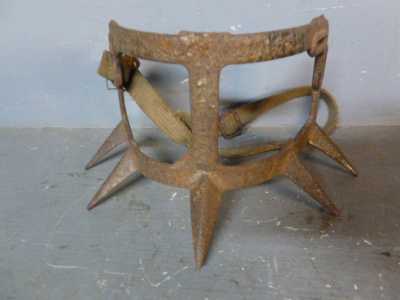 lot 27 image: Vintage Calf Weaner