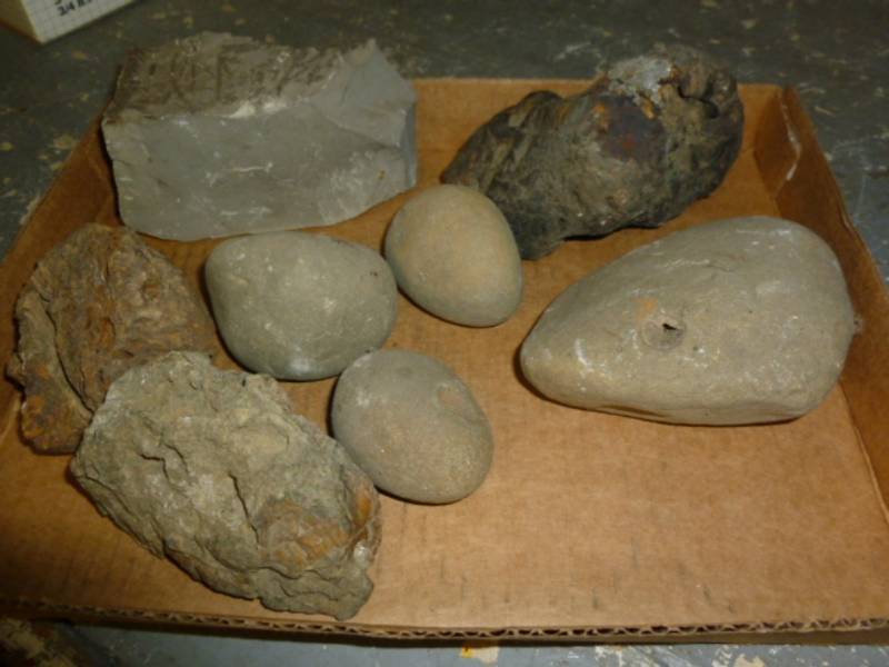 lot 31 image: Collector Rocks