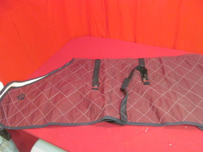 lot 29 image: Horse turn out blanket