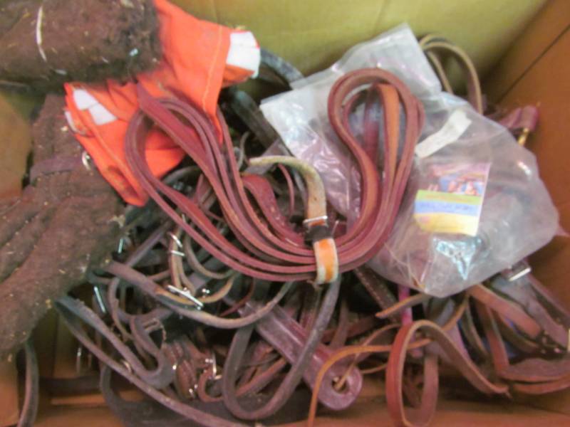 lot 32 image: horse tack
